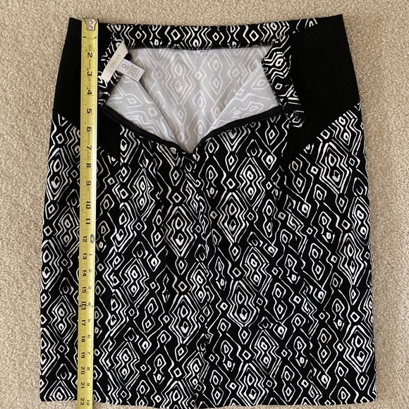 Skirt Bundle Chicos and Grace Elements, Small - Picture 6 of 10